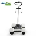 10.5 Inch 4 Wheels Electric Longboard Skateboard 60V Golf Long Board