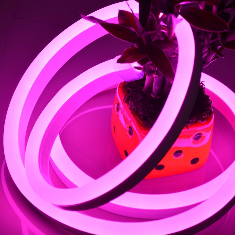220V 110V 50m Indoor Outdoor Flex LED Neon Rope Light for Holiday Party Valentine Decoration Blue Yellow White by DHL