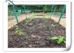 Heavy Duty Climbing Plant Support Net Polyester Nylon Plant Trellis Netting