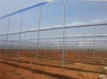 Nets And Crop Covers, Bird Control Net, Strong Polyethylene Fabrics, Pest