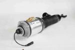 Bentley Continental Automobile Shock Absorber Spring Strut 3D0616040D