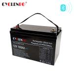 High Energy Density Bluetooth Lithium Battery Long Cycle Life For Caravan And