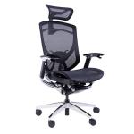 BIFMA Green Guard Certificate Adjustable Armrest Wintex Mesh Ergonomic Office