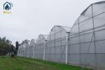 Steel Frame Agricultural Multi Span Greenhouse For Year Round Crop Production