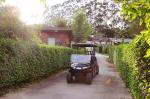 Tourist Sightseeing Electric Golf Buggy 6 Seats