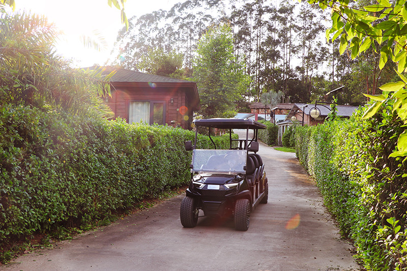 Tourist Sightseeing Electric Golf Buggy 6 Seats