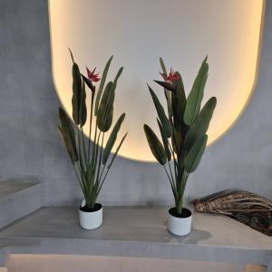 China Charming Hypoallergenic Faux Palm Tree | Crafted for Indoor and Outdoor Decor factory
