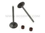 Motorcycle Engine Parts Valve Inlet Exhaust Set for Honda KTT CBF150