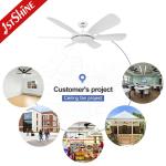 Energy-Saving 1stshine Ceiling Fan with 6 ABS Blades 3 Color LED Light