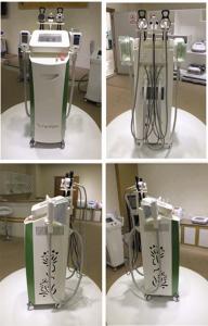 China 2014 hottest cryolipolisis lipo cryo fat freezing machine factory