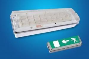 China Emergency Bulkhead Light in IP 65 with Over-charge and Over-discharge protection factory