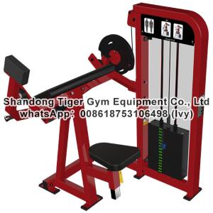 China Single Station Gym fitness equipment machine Biceps Curl exercise machine factory