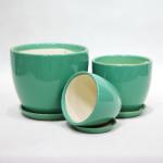 Add a Touch of Style to Your Plants with our Ceramic Pots Collection