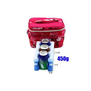 China portable kid fashion Vaccine transport solar rigid plastic cool cooler HDPE food grade colorized ice pack for Lunch Box factory