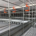 OEM ODM Automatic Chicken Nipple Drinker Waterer System ISO9001