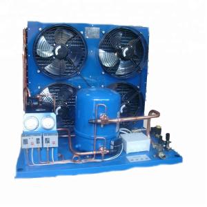 China Blue R404a Cold Room Refrigeration Condensing Unit MTZ271 factory