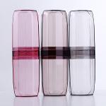 Dental Travel Toothbrush Storage Box