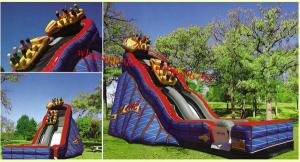 China Wild One Slide factory