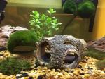 Fresh Water Hiding Hygger Aquarium Decoration Items
