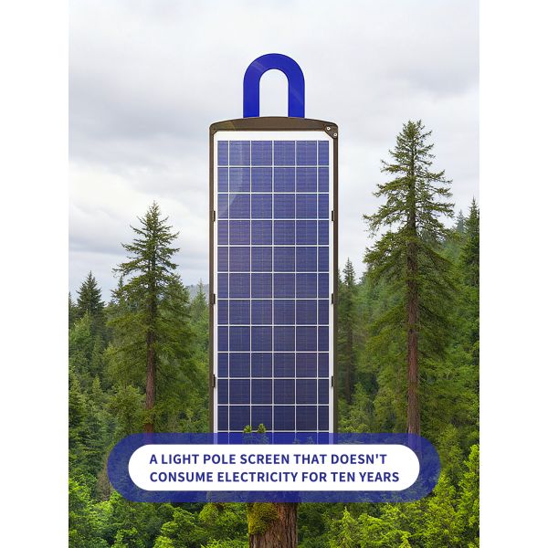 Outdoor Solar Light Pole LED Display with 2-5 Years Warranty 100000 Hours Life Span and Energy Saving