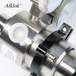 Gas Pressure Regulator Female Thread Sliver Color ISO9001 CE Certified