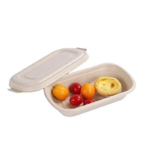 China 850ml Compostable Sugarcane Bagasse Takeaway Eco Friendly Disposable Lunch Boxes factory