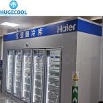 Walk in Cooler Refrigeration Equipment Kitchen with Online Service Black Glass