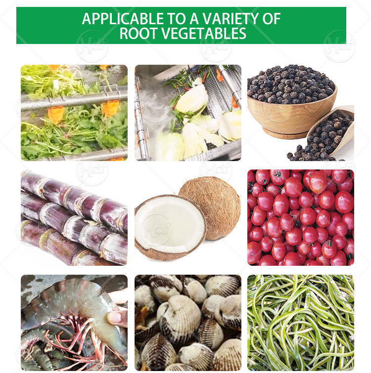 Automatic Ultrasonic Fruit Vegetable Washing Machine And Blanching Machine