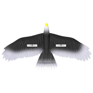 China 3-Ch RC Bird Plane Fly Toy RC Airplane EPP Model Eagle Toys Glider Jet Controller Battery 4*1.5AAA Battery not included factory