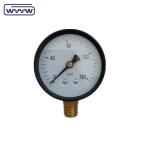 pressure gauge for swimming pool filter 2" Dial, 0-60 Psi, Bottom Mount 1/4"