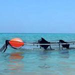 3330 X 900 X 350mm Clear Bottom Kayak 2 Seats Plastic Acrylic Material SGS