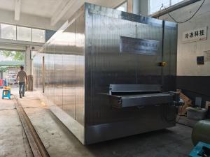China Liquid Nitrogen Blast Tunnel Freezer 1000kg/H 2000kg/H For Crayfish N2 IQF factory