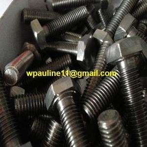 China 310S hex cap screw 1.4841 high strength bolt factory