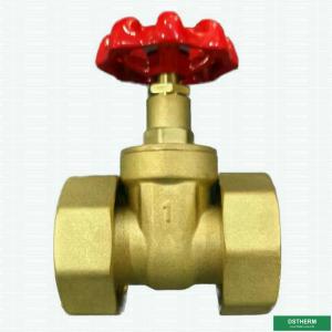 China Flexible Brass Union Gate Valve With Plastic Ppr Part Ball Check Valve factory