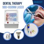 650nm 980nm Teeth Diode Laser In Dentistry For Periodontics Endodontics Soft