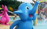 Spray Park Equipment Duck Spray Aqua Play, Water Sprayground Structures OEM