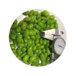 HACCP KOSHER Frozen Shelled Edamame Beans Japanese Style