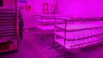Indoor 60W LED Grow Light Bar Corrosion Resistance Metal PCB Board Design