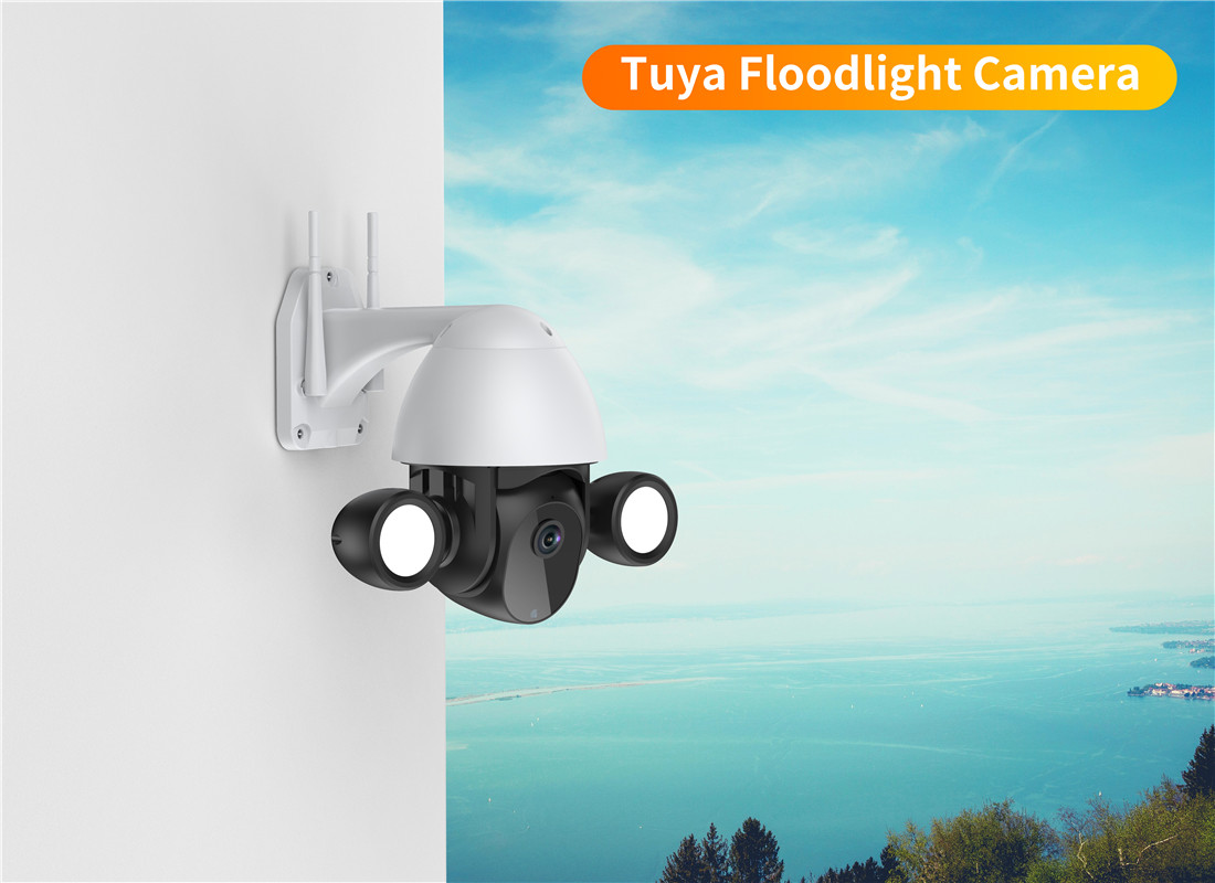 3MP WIFI Floodlight Speed Dome with AI Human Detection(JY-D05-3MP)