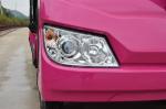 Graceful Electric Passenger Bus For Park / Electric Tourist Car