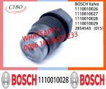 Pressure relief valve 1110010026 1110010027 1110010028 1110010029 2854543（015