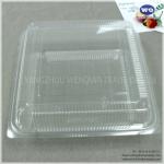 Disposable Fruit Packaging Box-Factory Offer Disposable Plastic takeaway