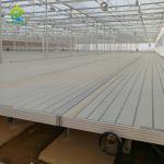 Hot Galvanized Greenhouse Rolling Benches Earthquake Proof Ebb And Flood Benches