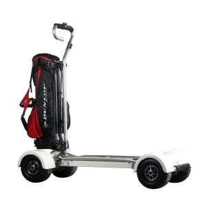 China 1000W 60V 4 Wheel Skateboard 10.5inch Tire 60km Range For Adults Playing Golf factory