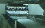 Seafood Processing Plant Frozen Fish And Shrimp Washing Water Cycle Thawing