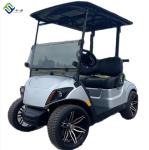 New 2 Seater Electric LSV Golf Cart For Beach Color Customized