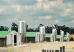 Sheep Pen Poultry Metal Shed Buildings Agricultural Prefab Metal ShedFire