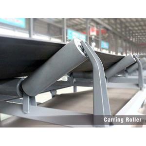 China Low Rotate Resistance Labyrinth Seal Conveyor Component factory