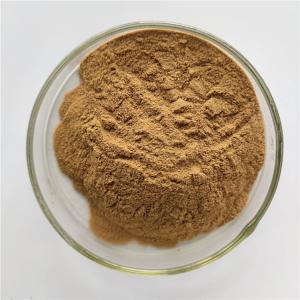China Houttuynia cordata extract powder For detoxification factory