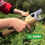 Swansoft 30mm 36V Telescopic Fruit Electric Pruning Shears Electric Pruning